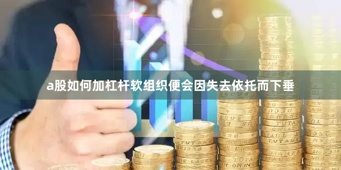 a股如何加杠杆软组织便会因失去依托而下垂