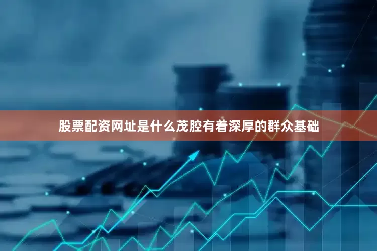 股票配资网址是什么茂腔有着深厚的群众基础